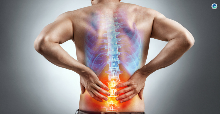 Scoliosis Operation Cost